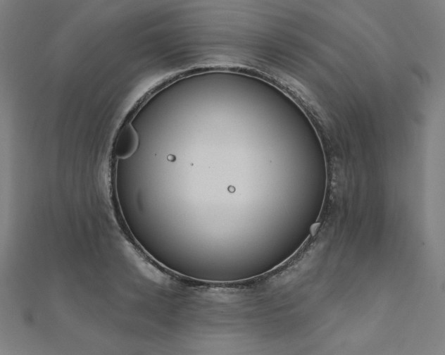 X0000112500942200908171306