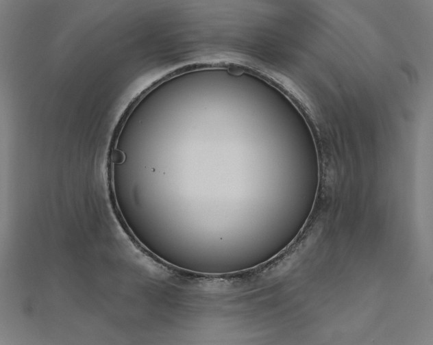 X0000112500943200908171306