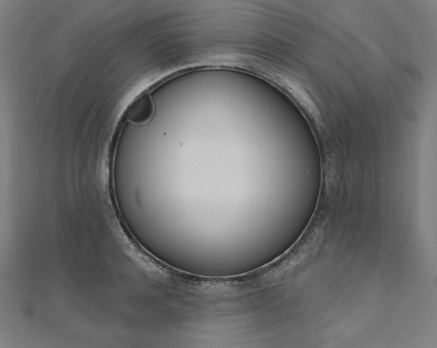 X0000112500944200908171306