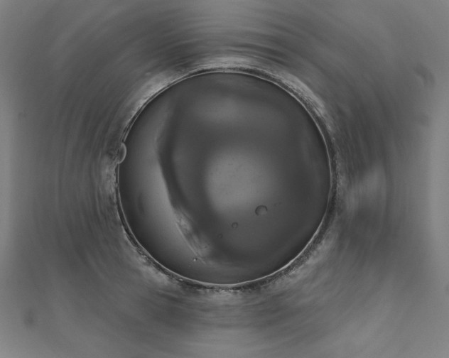 X0000112500945200908171306