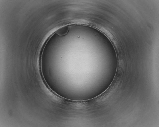 X0000112500947200908171306