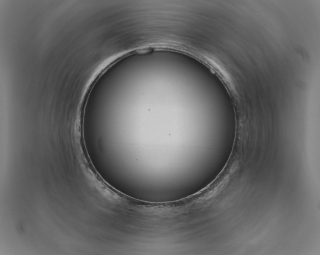 X0000112500948200908171306