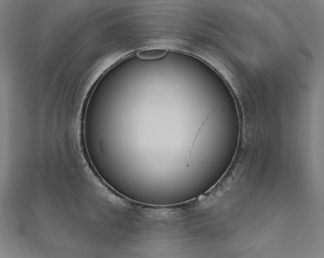 X0000112500949200908171306