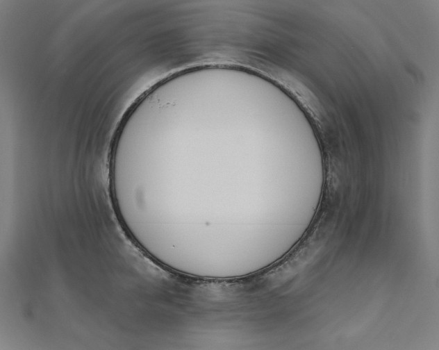 X0000112500950200908171306