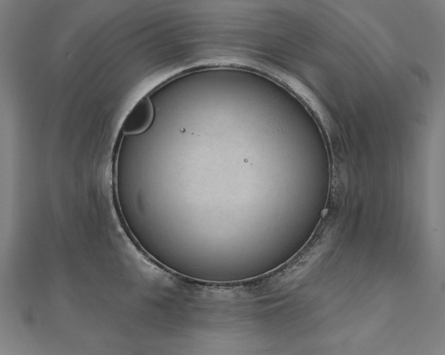 X0000112500951200908171306