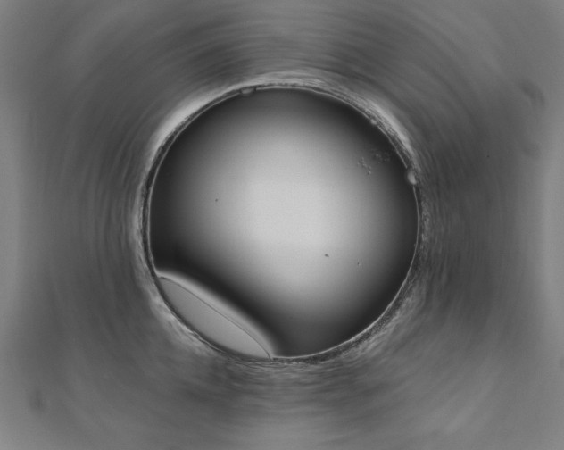 X0000112500952200908171306