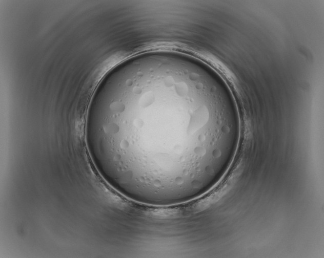 X0000112500953200908171306