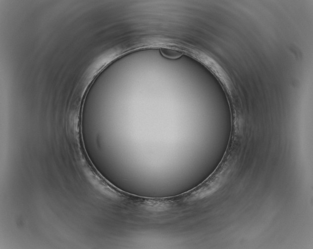 X0000112500954200908171306