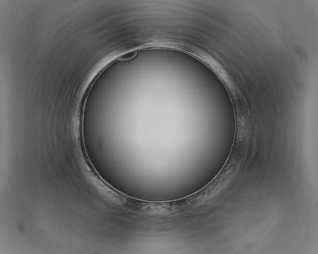 X0000112500955200908171306