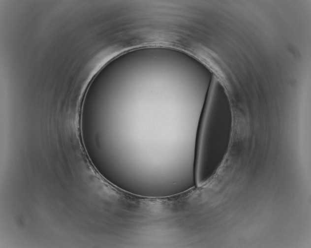 X0000112500956200908171306