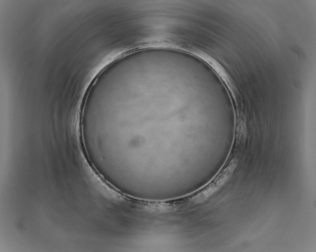 X0000112500957200908171306