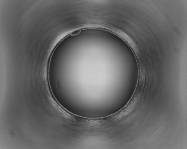 X0000112500958200908171306