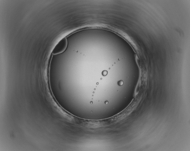 X0000112500959200908171306