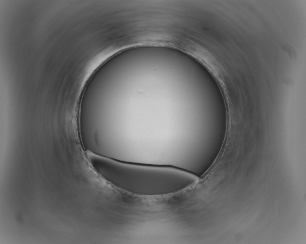 X0000112500960200908171306