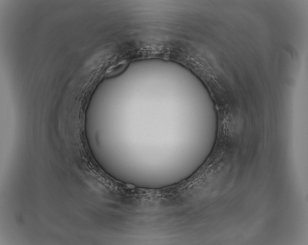 X0000112500961200908171305