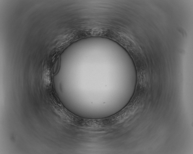 X0000112500962200908171305