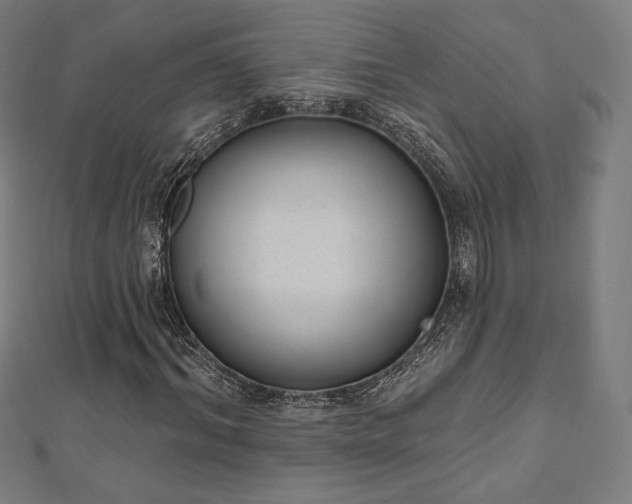 X0000112500964200908171305