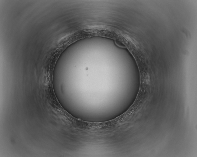 X0000112500965200908171305