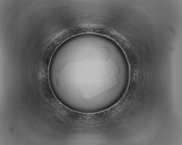 X0000112500966200908171305