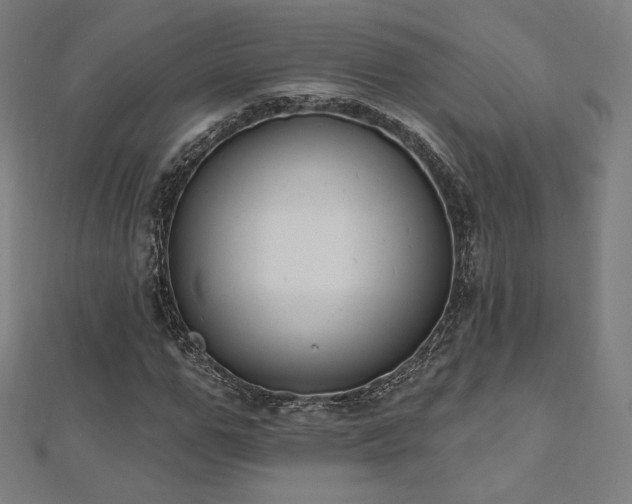 X0000112500967200908171305