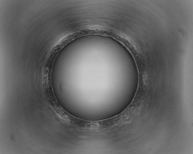 X0000112500968200908171305