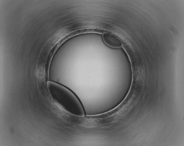 X0000112500969200908171305