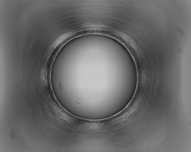 X0000112500970200908171305