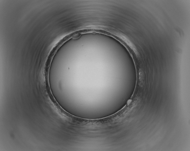 X0000112500972200908171305