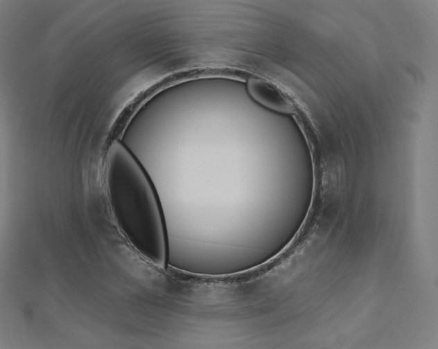 X0000112500973200908171305