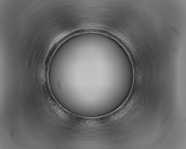 X0000112500974200908171305