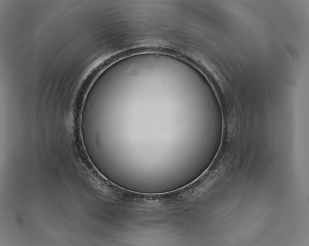 X0000112500975200908171305