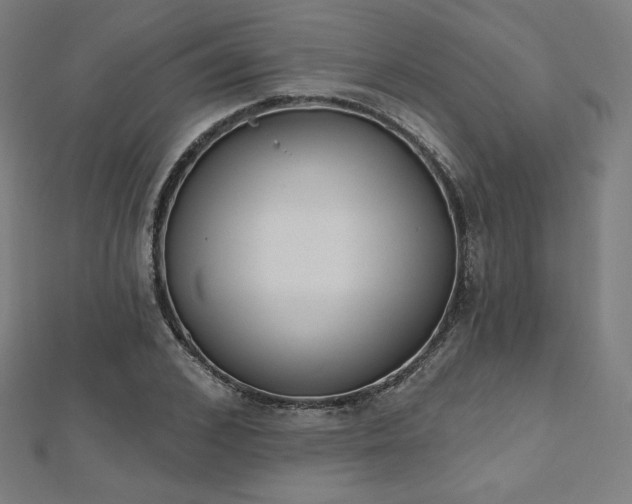 X0000112500976200908171305