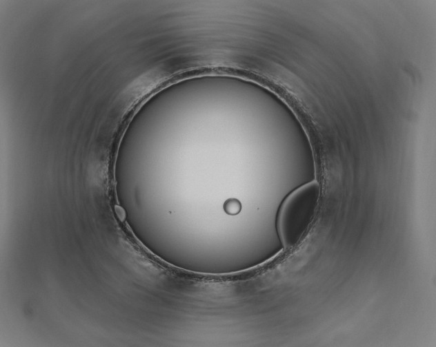 X0000112500977200908171305