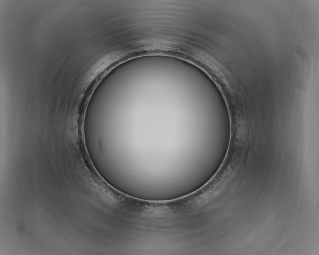 X0000112500978200908171305