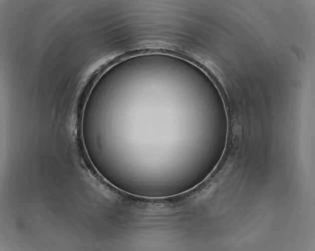 X0000112500979200908171305