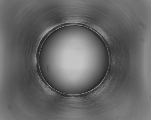 X0000112500980200908171305