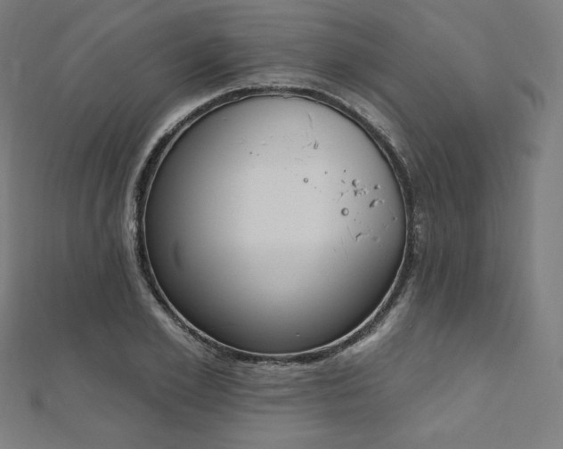 X0000112500981200908171305