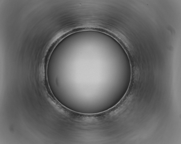 X0000112500982200908171305