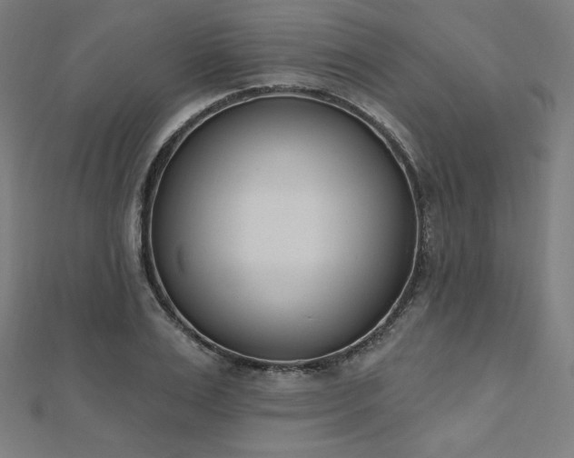 X0000112500983200908171305