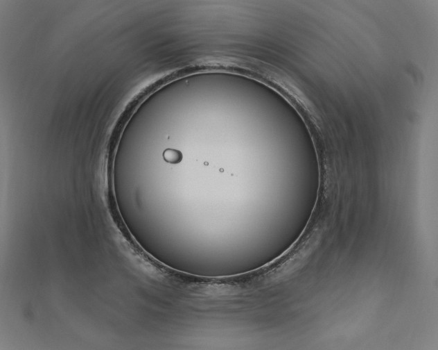 X0000112500984200908171305