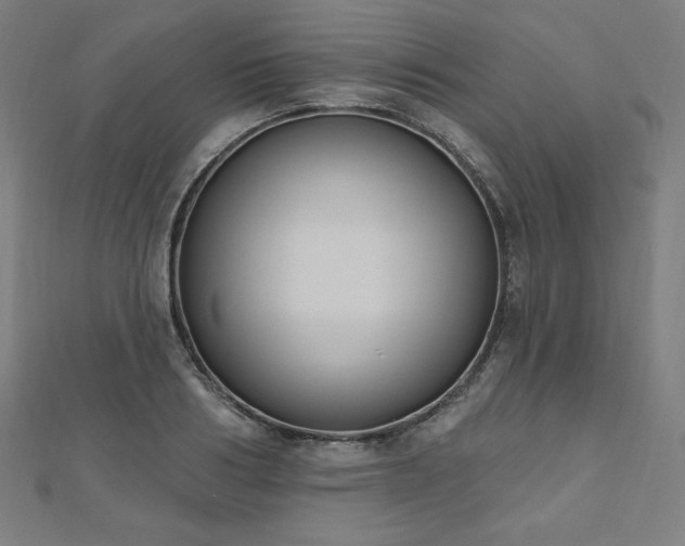 X0000112500986200908171305