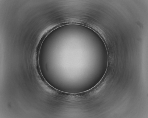 X0000112500987200908171305