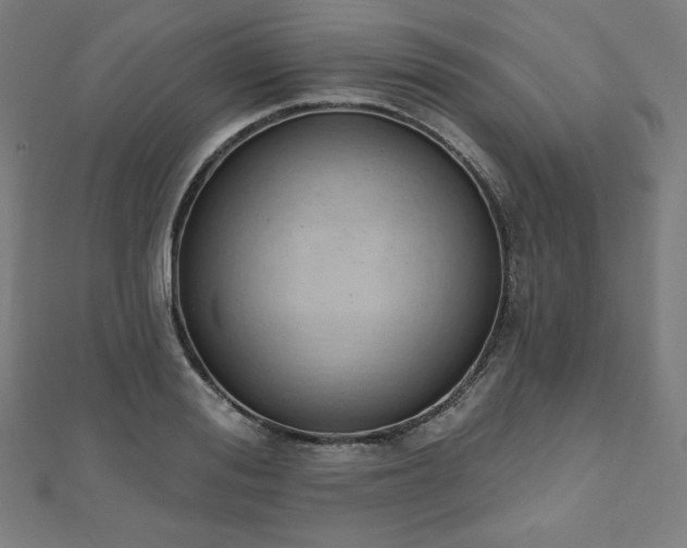 X0000112500988200908171305