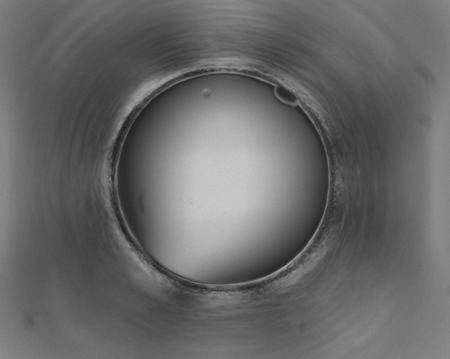 X0000112500989200908171305