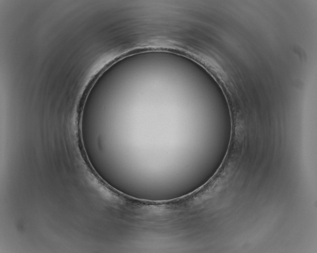 X0000112500990200908171305