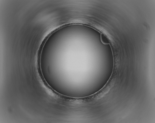 X0000112500991200908171305