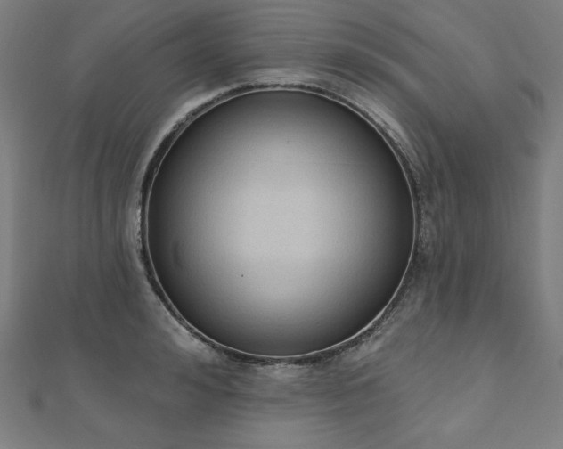 X0000112500992200908171305