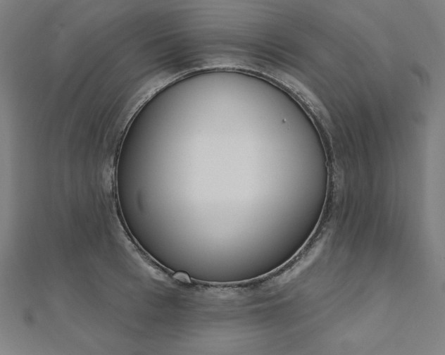 X0000112500993200908171305