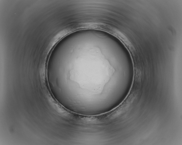 X0000112500994200908171305