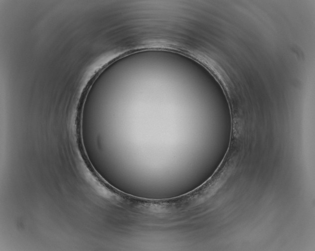 X0000112500995200908171305